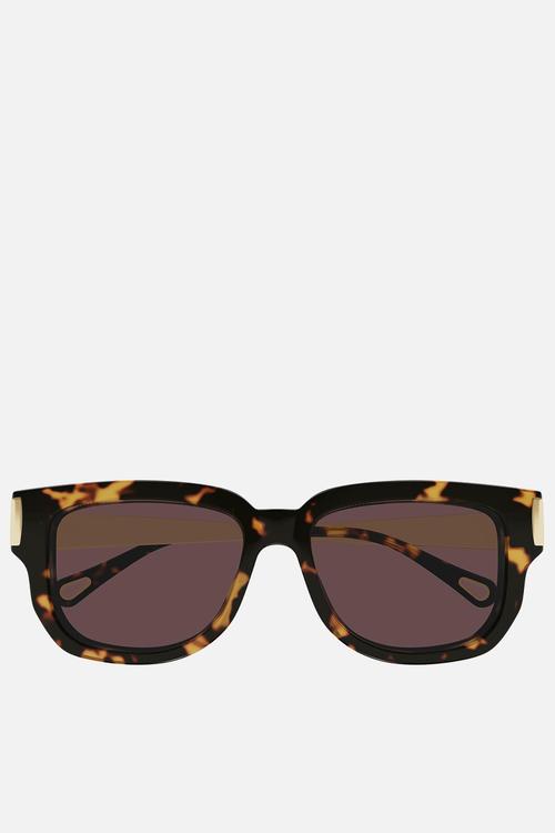 Holly Sunglasses CH0351S-003 54mm - Havana