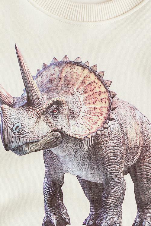 Printed sweatshirt - white/triceratops