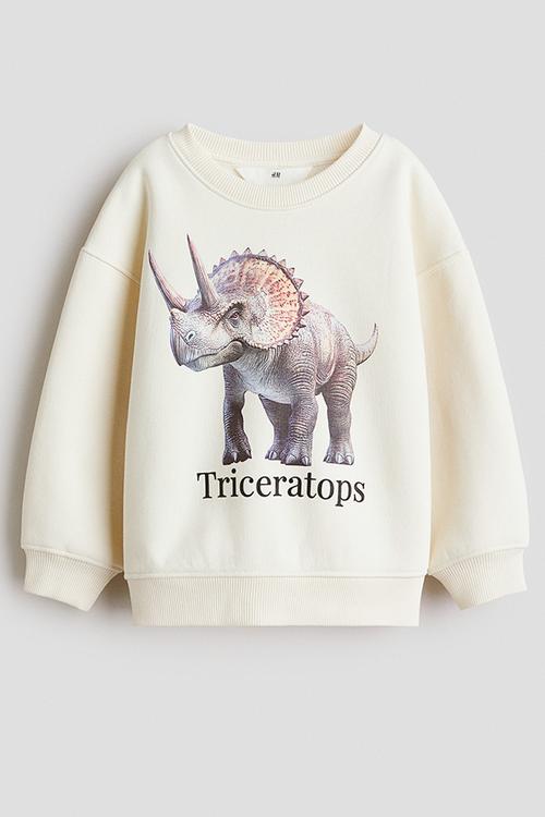 Printed sweatshirt - white/triceratops