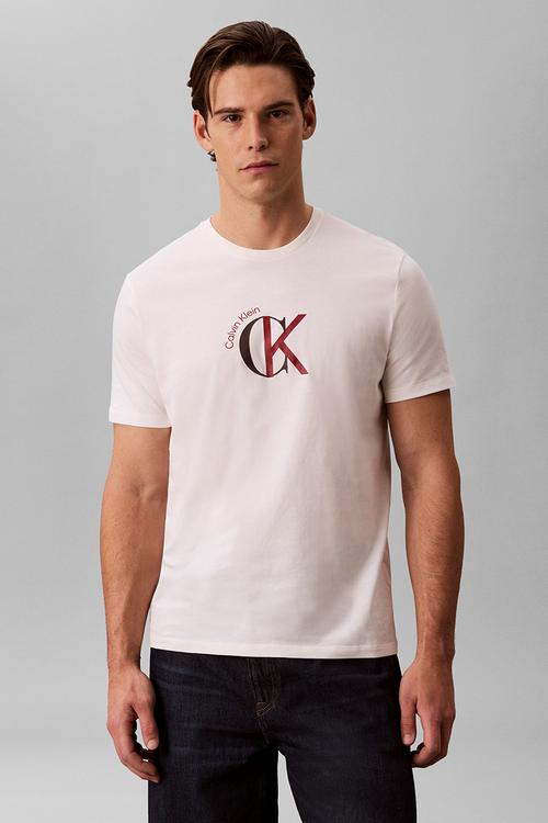 Ss 30S Whsl Ckj 2Tone Ck Graphic Tee - White Greige