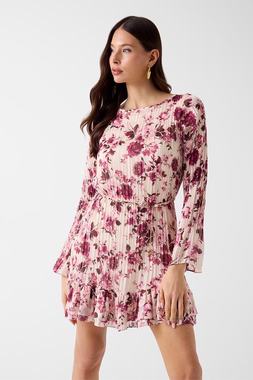Ls Ilenia Pleat Dress - Blush Roses Print