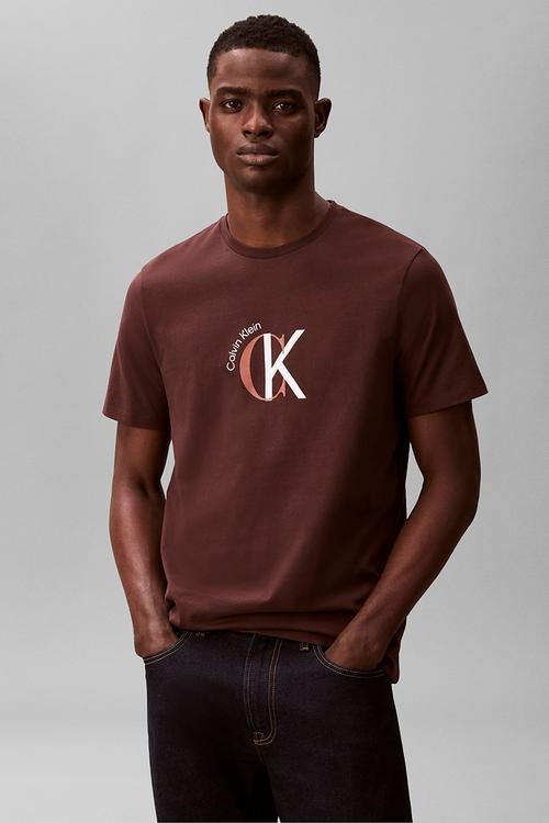 Ss 30S Whsl Ckj 2Tone Ck Graphic Tee - Rich Brown