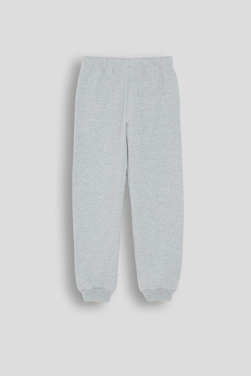 Nasa joggers - grey