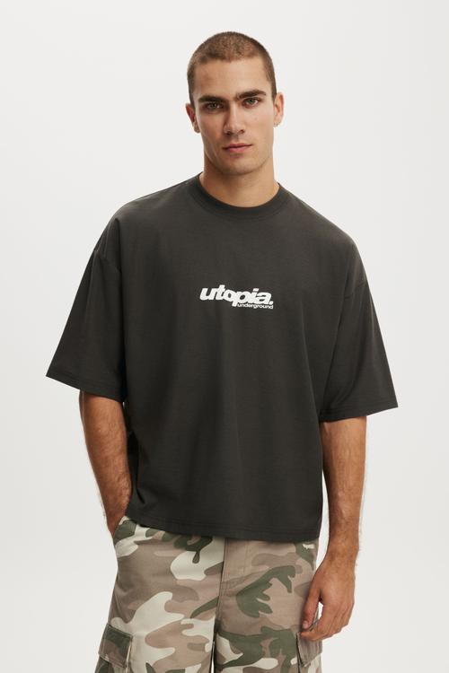 Cropped Fit Graphic T-Shirt - Faded Slate / Utopia