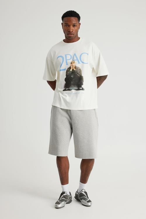 Box Fit Music Merch T-shirt - Lcn Bra Cloud/Tupac End Of Time