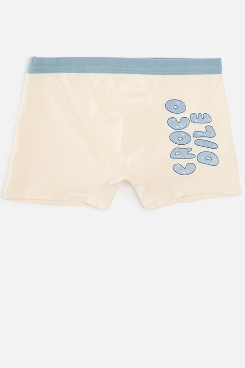 4 pack boxer briefs - multi