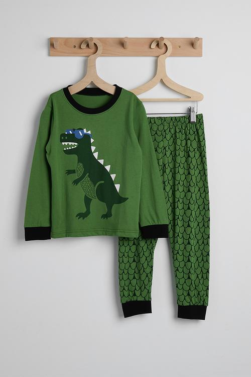 Pj set - green/dino aop