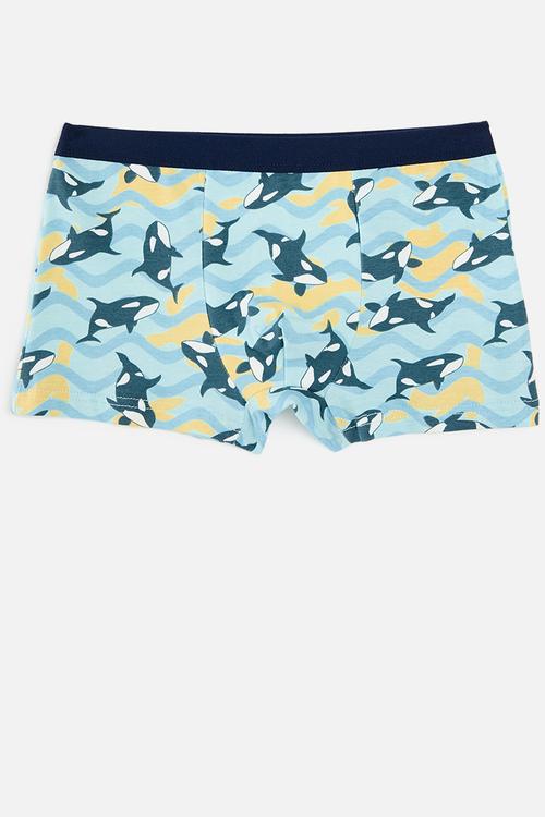 4 pack boxer briefs - multi