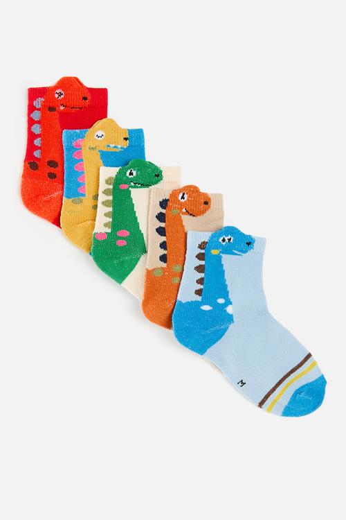 5 pack dino crew socks - multi colour
