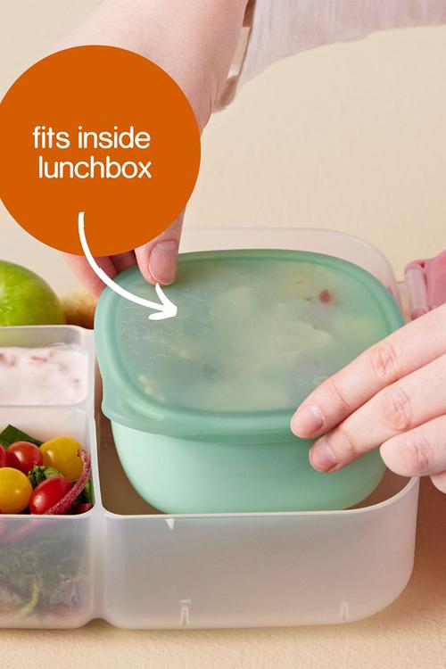 Lunch Tub - Forest