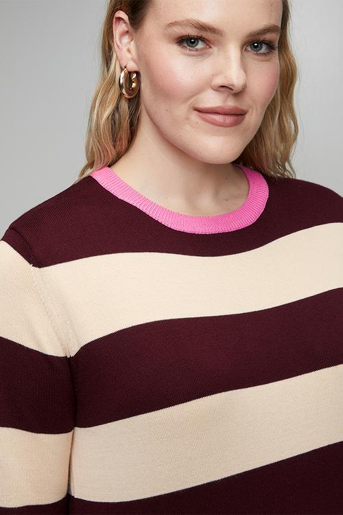 Plus Luxe Jumper in Candy Stripe - Multi