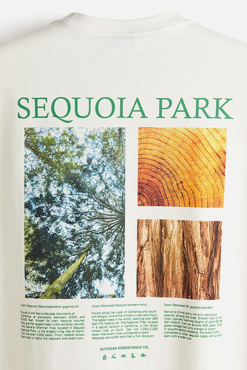 Loose fit printed T-shirt - white/sequoia park