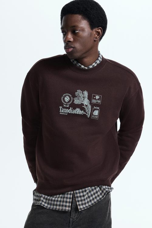 Loose fit printed sweatshirt - dark brown/taxodiaceae