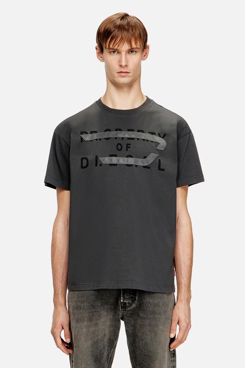 T-NORM-V11 - grey