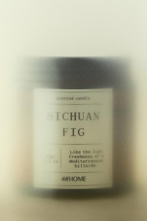 Scented candle - sichuan fig
