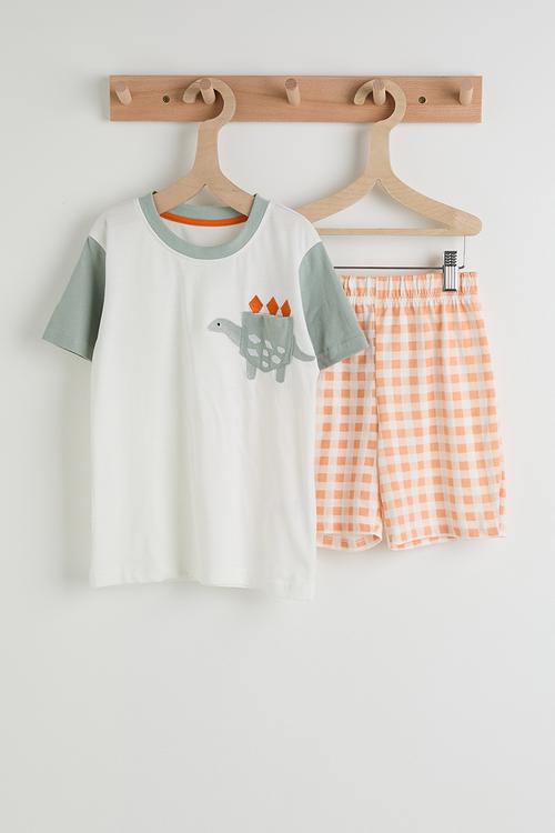 Dino pocket tee with gingham shorts - multi