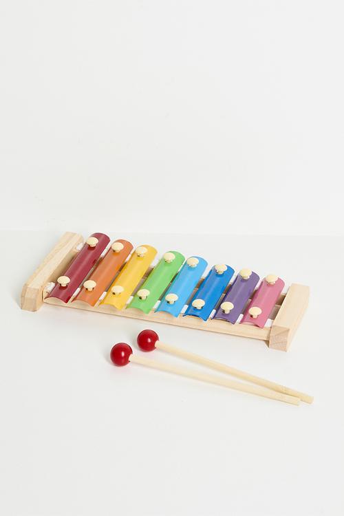Xylophone - multicolour