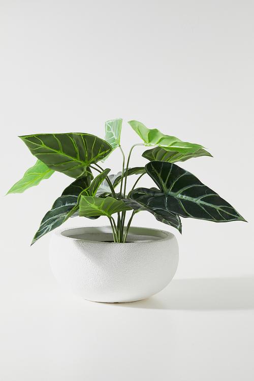Ikebana Indoor/Outdoor Fibreclay Planter - White