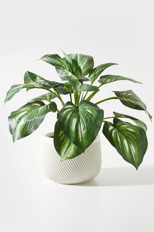 Diag Outdoor/Indoor Fiberclay planter - Natural