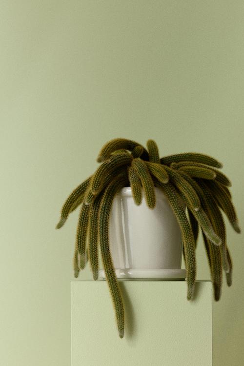 Stoneware plant pot with saucer - white