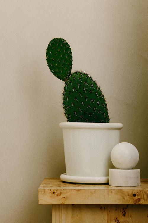 Large stoneware plant pot with saucer - white
