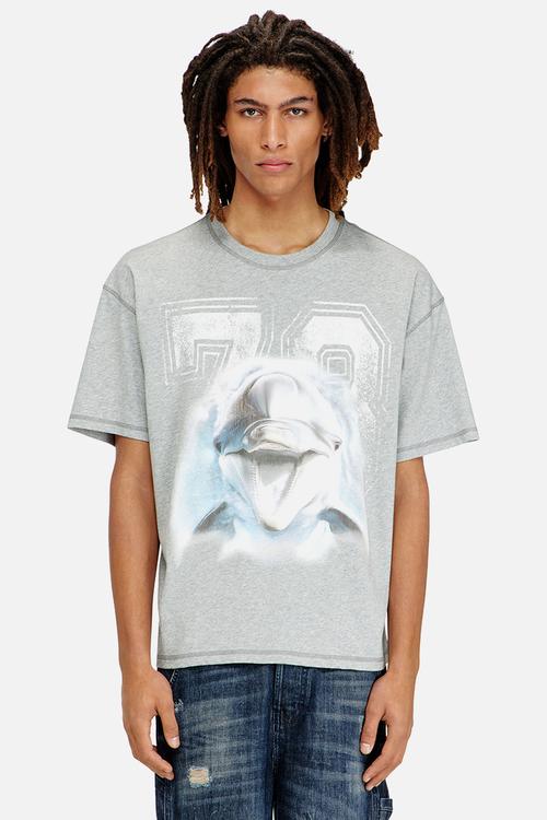 T-BOXT-DOLPHIN - grey