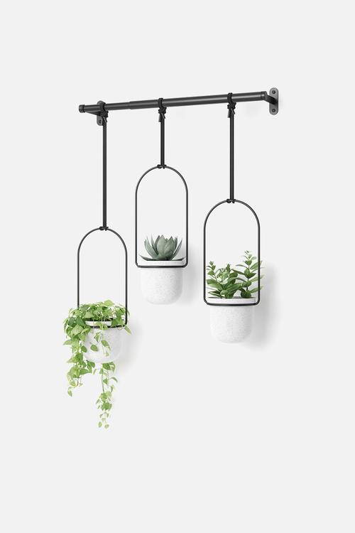 Triflora Hanging Planter - White