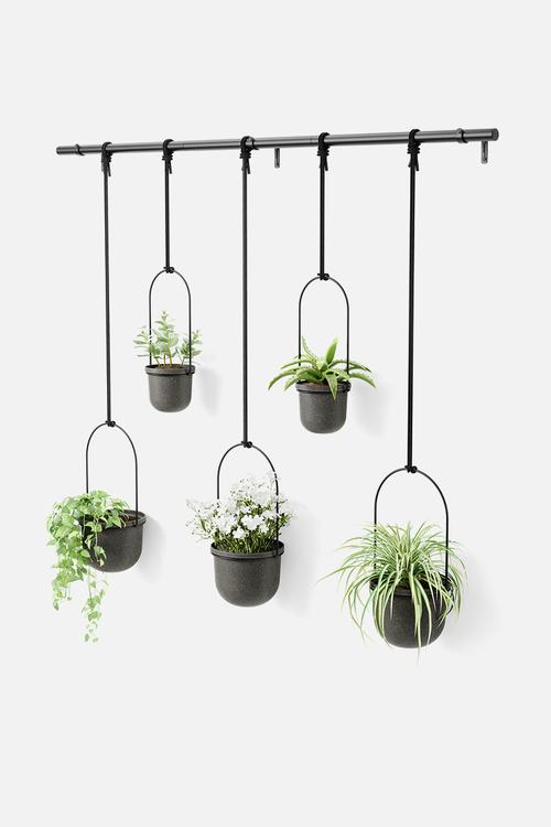 Triflora 5 Large - Black