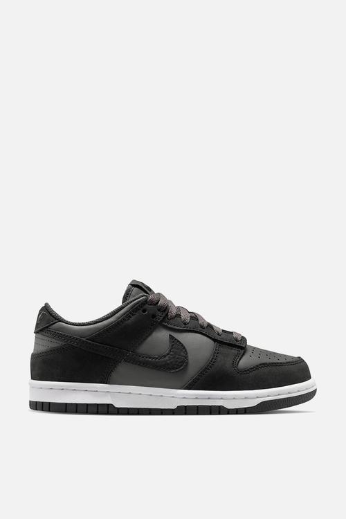 Nike Dunk Low Se Grade School