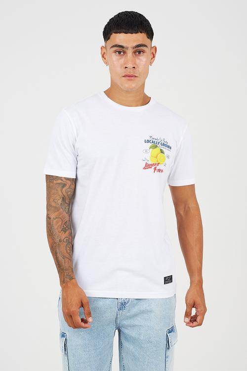 A mens crew neck short sleeve t-shirt citron - optic white/multi-co