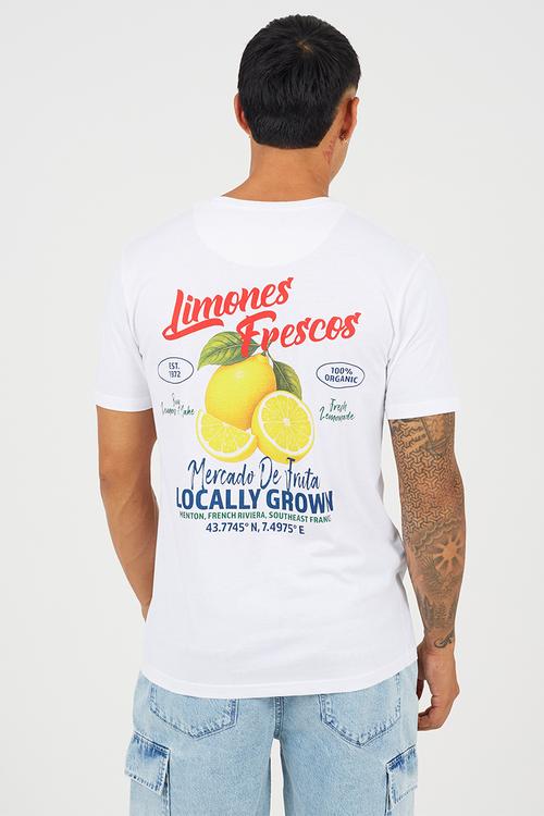 A mens crew neck short sleeve t-shirt citron - optic white/multi-co