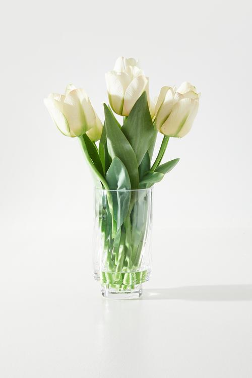 Lime Green Tulips In Vase - green