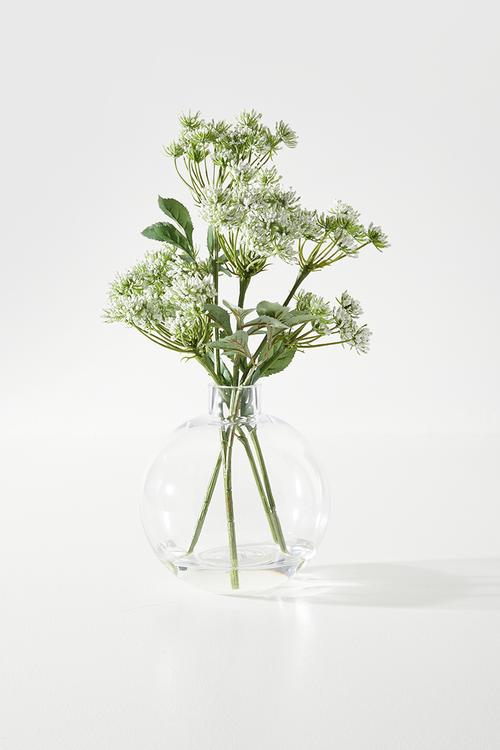 Qyeen Anne Lace/Babies Breath In Bubble Vase - white