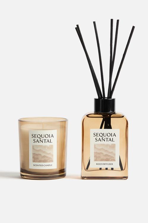 Scented candle in a glass holder - sequoia santal