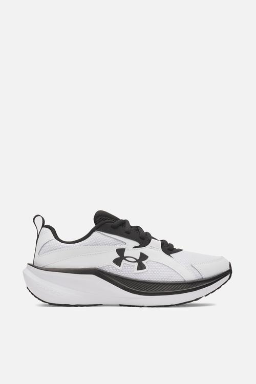 Ua bgs assert 11-white