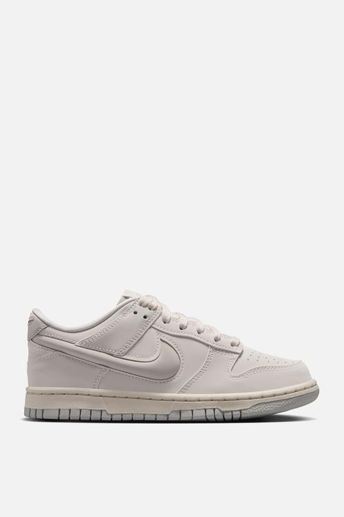 Nike Dunk Low Lv8 Grade School