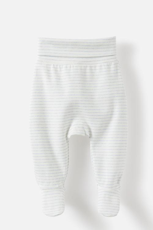 Organic Foldover Waist Legging - Bluebell Marle/Stripe