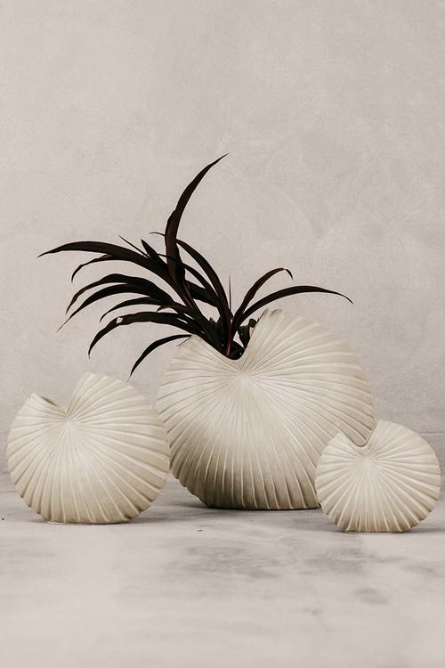 Spirula Vase Set Of 3