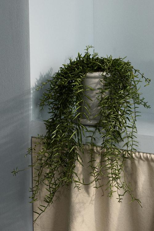 Stoneware plant pot with saucer - light grey