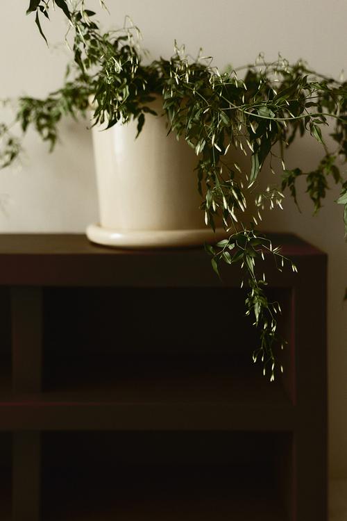 Large stoneware plant pot with saucer - light yellow