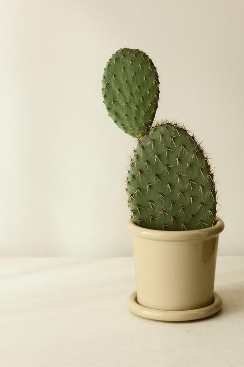 Stoneware plant pot with saucer - light yellow