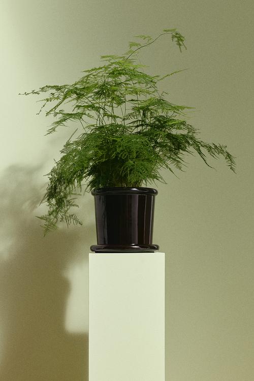 Large stoneware plant pot with saucer - dark brown