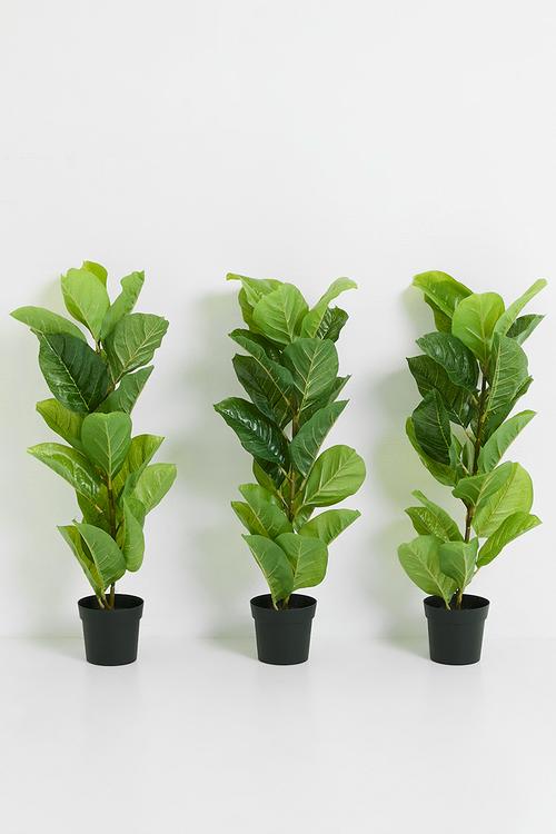 Artificial fiddle in pot - Green