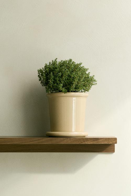 Extra-small stoneware plant pot with saucer - light yellow
