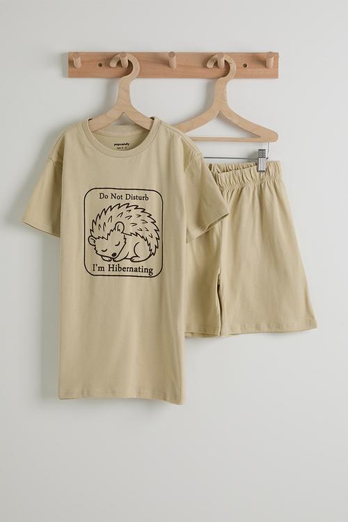 Tween boys pj set - stone