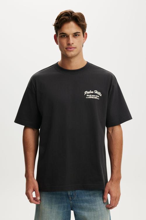 Box Fit Graphic T-Shirt  - Washed Black / Palm Hills