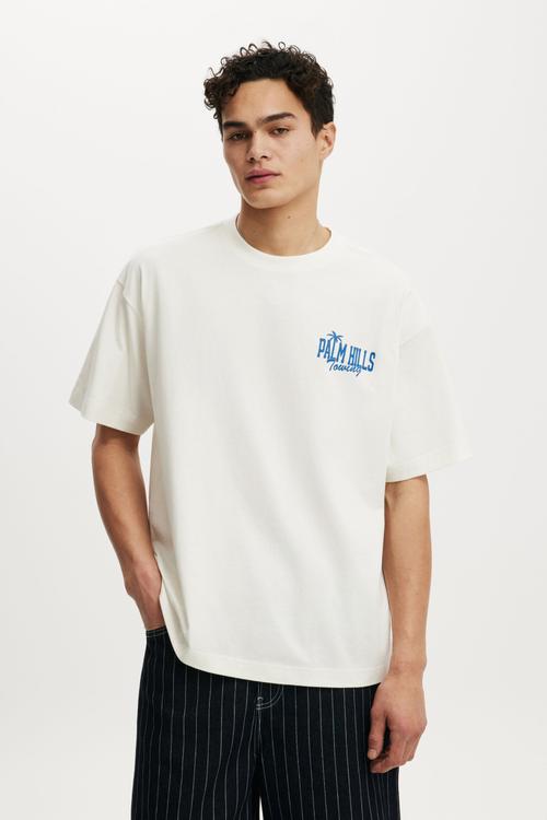 Box Fit Graphic T-Shirt  - Vintage White / Palm Hills