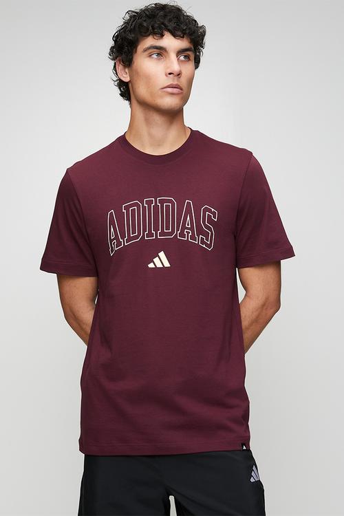 COLLEGIATE Tee  - maroon
