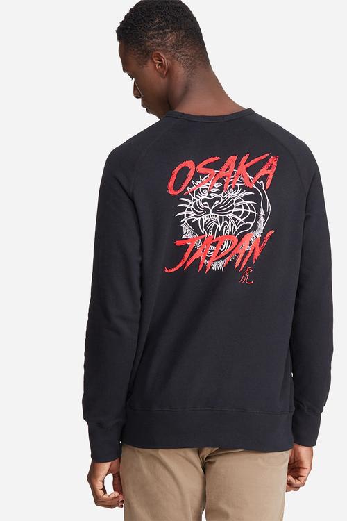 Graphic pullover crew sweat