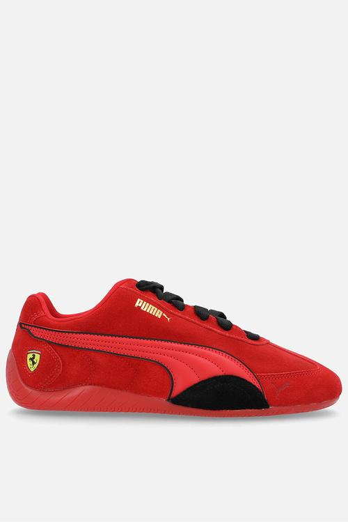 Ferrari Speedcat
